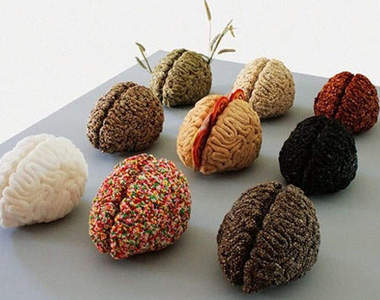 《食物腦》大家敢吃嗎？!