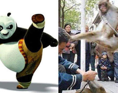 什麼？！功夫熊貓有徒弟？！