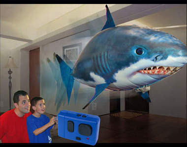 親愛的 我不小心買了隻鯊魚回來養