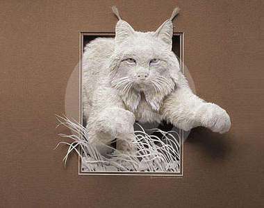 立體紙雕 使用手術刀切割的藝術