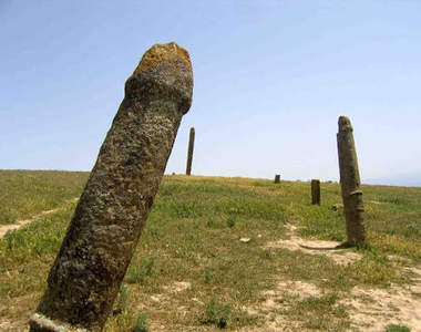 真是叫人驚嘆的《性器官墓園》!