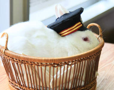 卯之町車站《兔子站長》超萌~目送你上下車!!!