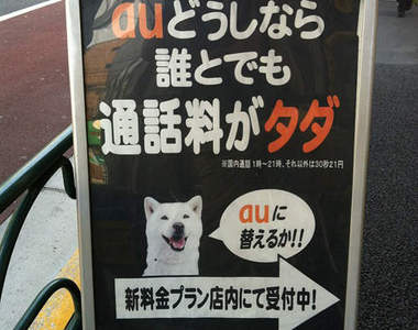 日本電信公司《爭狗之戰》au偷用了softbank的招牌狗！？