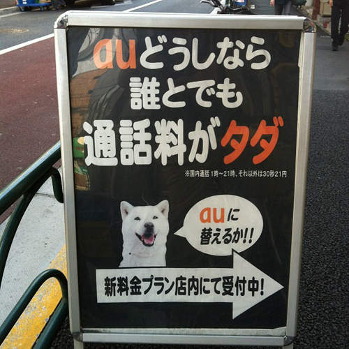 日本電信公司《爭狗之戰》au偷用了softbank的招牌狗!? - 圖片1 日本電信公司《爭狗之戰》au偷用了softbank的招牌狗!? - 圖片1