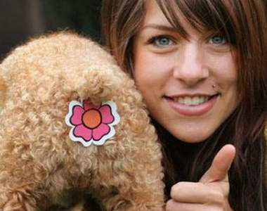 《寵物肛門貼》蓋住你羞羞的部位≧▽≦