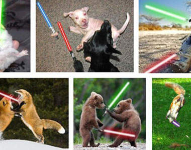 星際大戰動物版　拿著光劍攻擊