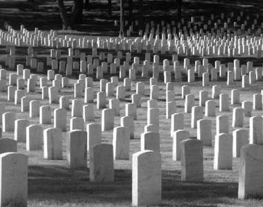 驚悚的次世代埋葬法！粉碎遺體還是用藥溶化？