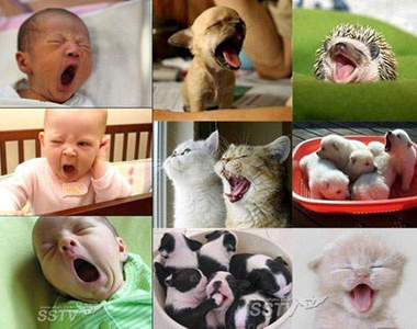 來～大家準備來打哈欠吧(啊～～～)