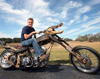 機車動物板  難道機車也會變形? !