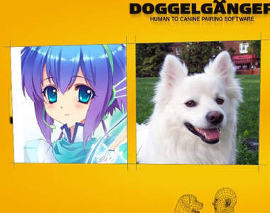 人狗配對網站 相似度80%UP