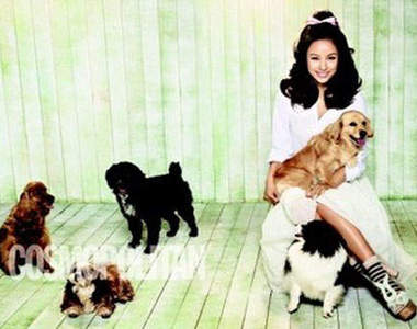 一人得道雞犬升天 寵物跟著上海報~