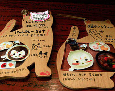 到了日本～可以去吃吃看《貓咪咖哩》喔❤