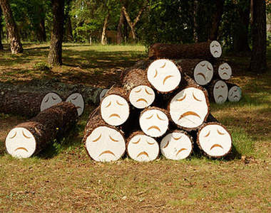 可憐的小樹木,你不要哭哭╯_╰