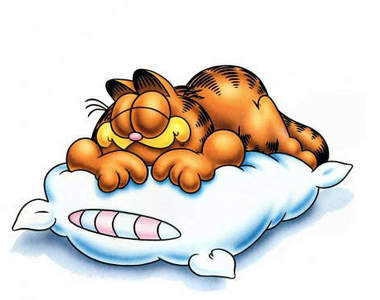 最佳床伴推薦 讓你睡得更安心