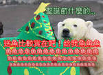 《聖誕節動物好禮》送吃的比較實在呀~(嚼) 《聖誕節動物好禮》送吃的比較實在呀~(嚼)