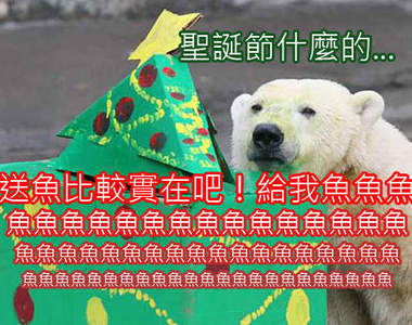 《聖誕節動物好禮》送吃的比較實在呀～（嚼）