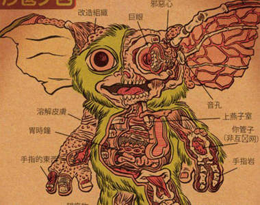 《小怪物解剖圖》獵奇向的科幻電影人物解剖指南～