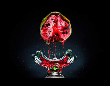 《腐壞食物寫真》提醒大家不要再浪費食物囉！