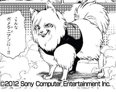 《東京叢林》將推出連載漫畫!哪來這麼帥的博美狗!