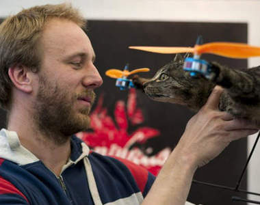 喵咪標本飛機 主人超另類的留念方式