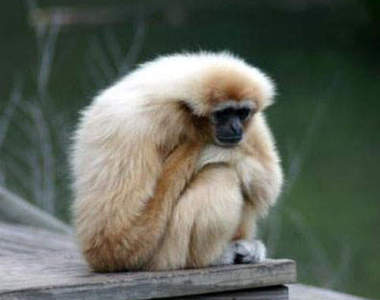 從奇怪的心理測驗看出你是什麼性格的人@_@？