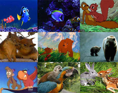 《迪士尼角色真實版》真的不是幻想~現實生活中的迪士尼動物~