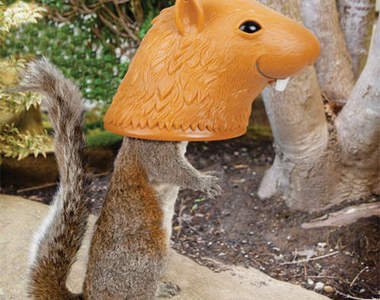 《大頭松鼠餵食器》你吃飽～我笑飽XD