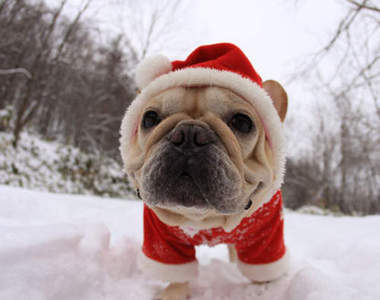 聖誕歌曲MV大串燒 凌凌漆推薦的必聽好歌