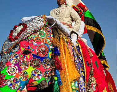 《印度大象節》~彩色大象滿街跑