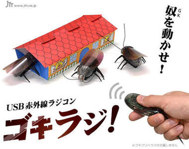 遙控蟑螂 今年夏天最適合送人的惡趣味產品