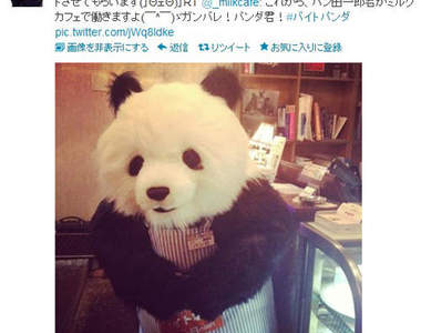 熊貓店員打工now!還剩最後兩天可以撞倒牠(誤)