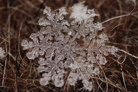 《微距雪花》不知道刨冰拍起來是不是也這樣? 《微距雪花》不知道刨冰拍起來是不是也這樣?