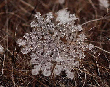 《微距雪花》不知道刨冰拍起來是不是也這樣?