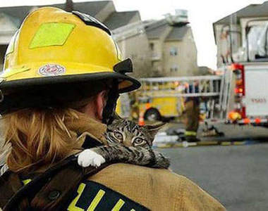 消防隊員救出的貓咪們 不怕不怕喔～（抱）