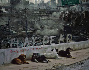 《PLAY DEAD》當狗狗遇上殭屍...有點哀傷的微電影短片