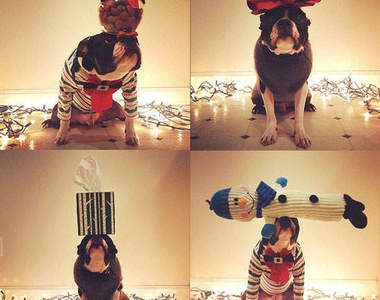 《Turbo的聖誕倒數》~頂上功夫真是厲害啊