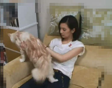 北川景子的住宅大公開～女明星的家中都是怎樣的呢？（害羞）