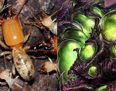 自爆白蟻 任務了解...自爆扭(按)