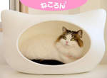 《貓型寵物窩》貓老大睡覺地方的另一種新選擇~喵! 《貓型寵物窩》貓老大睡覺地方的另一種新選擇~喵!