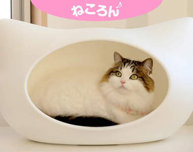 《貓型寵物窩》貓老大睡覺地方的另一種新選擇～喵！