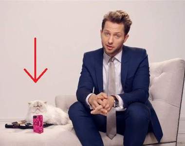 貓的～誰叫你要用貓來當模特兒－ᴥ－