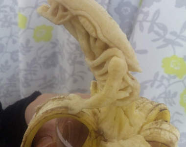 《香蕉雕刻》地球上最危險的香蕉應該都在這了！