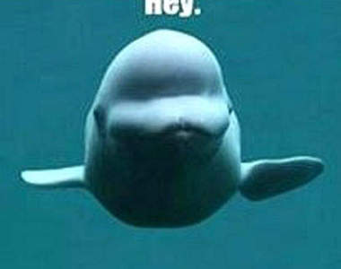 Hey~~走路要小心