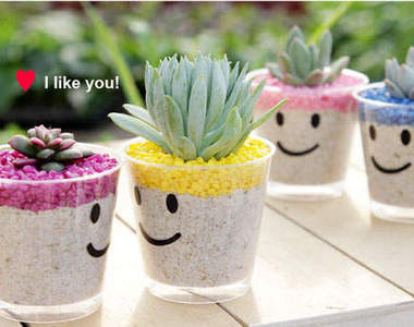 《微笑小盆栽》~~不開心都不行呦^0^