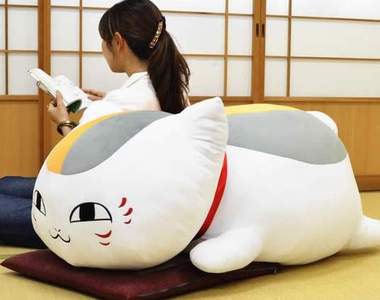 「史上最大」貓咪老師 每天陪著你驅魔喝酒(咦?)