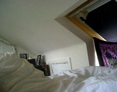 貓咪版《威利在哪裡》你找到可愛的白色毛球了嗎？