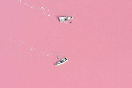 塞內加爾粉紅湖 是誰在這倒滿草苺奶昔呢！？