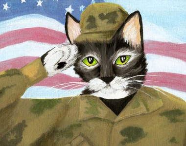 喵的《戰鬥裝》~喵喵也能上戰場啦