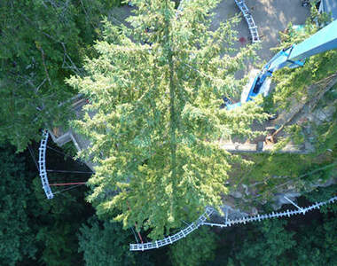 好膽賣走~「懸崖步道」「高空吊橋」考驗你的膽量!