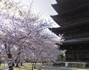 滑鼠鍵盤準備好沒!這次要換跟Google一起到「日本賞櫻」去啦!